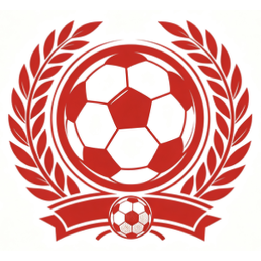 天空体育 logo